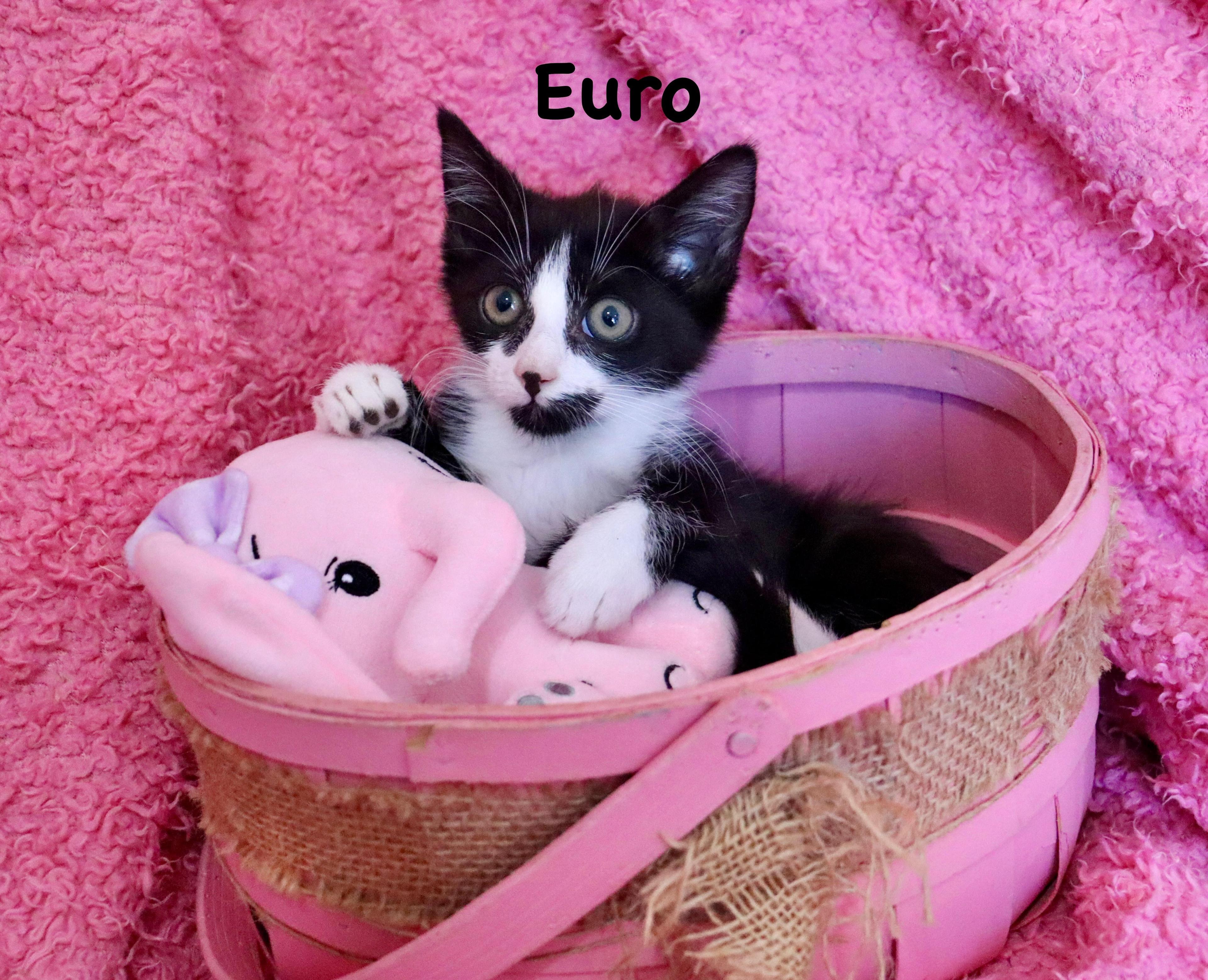 Euro
