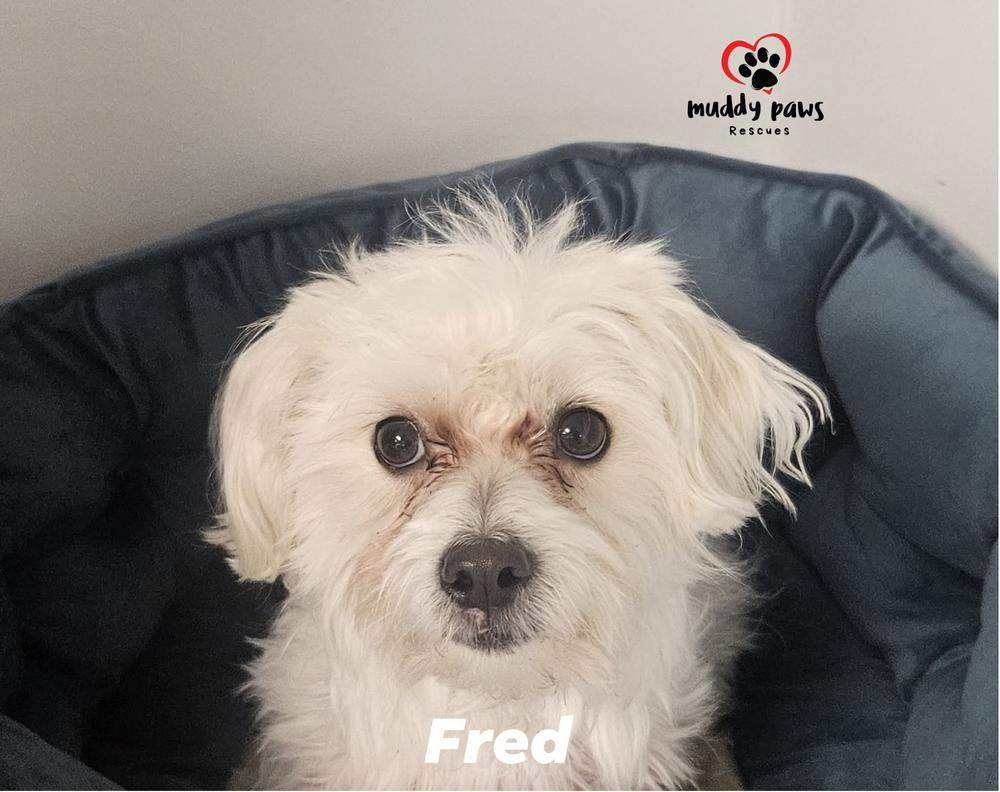 Fred