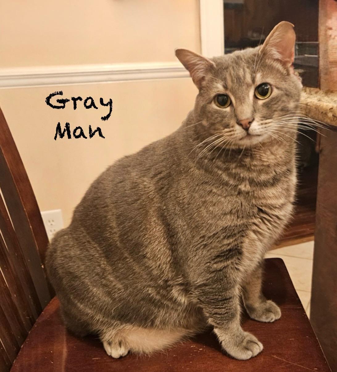 Gray Man
