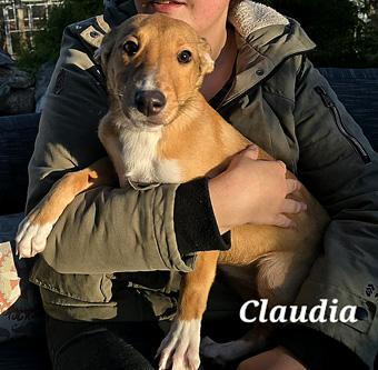 Claudia