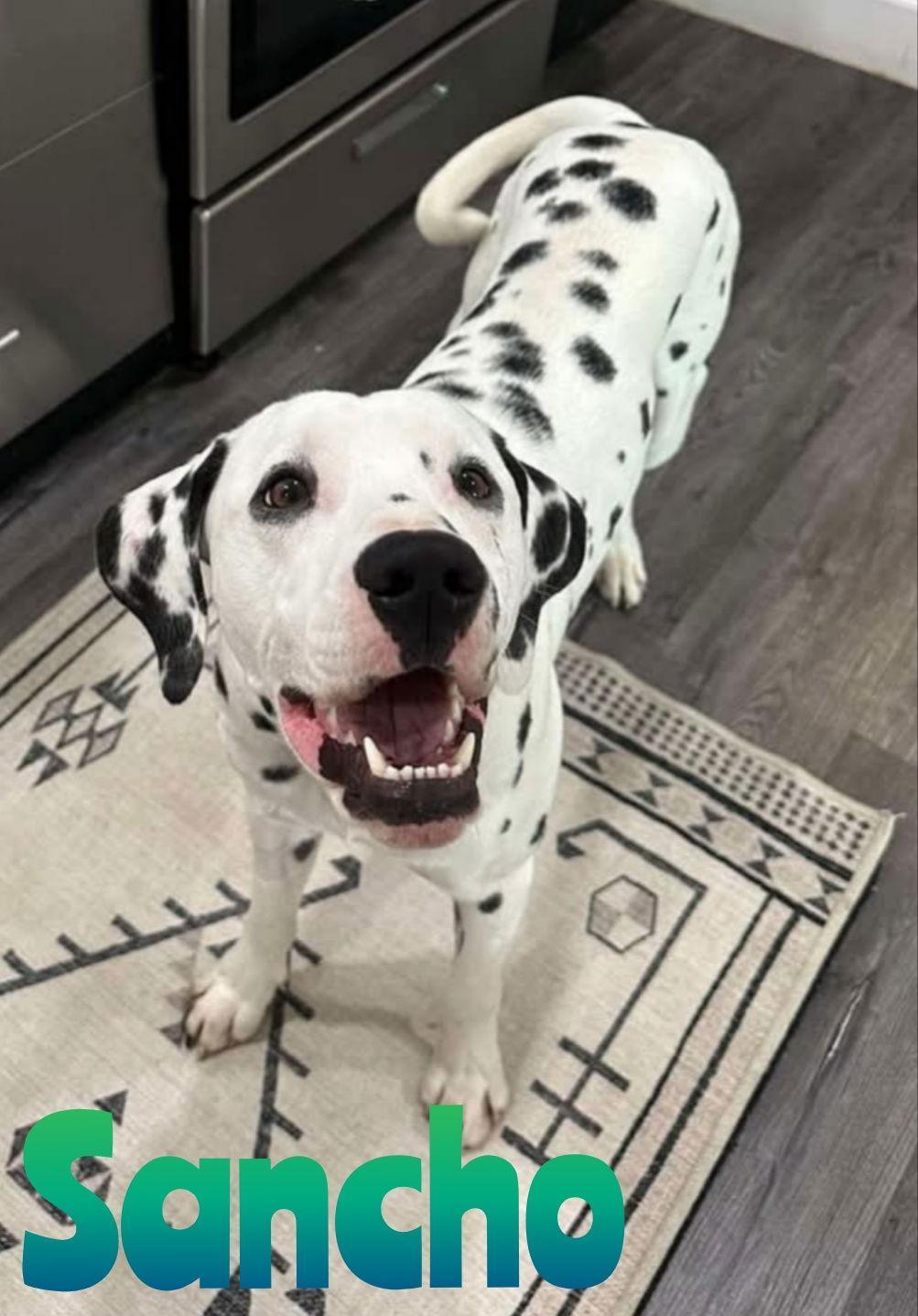 Sancho