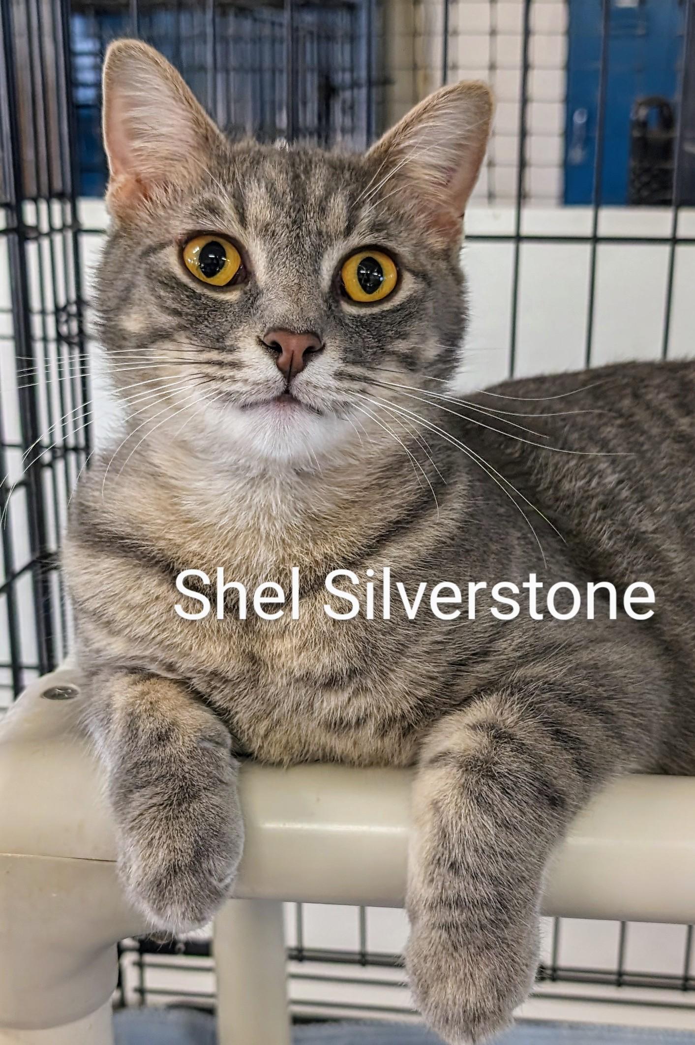 Shel Silverstone