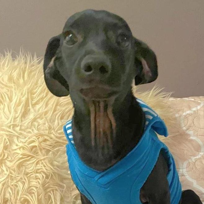 Robby Julian "are You