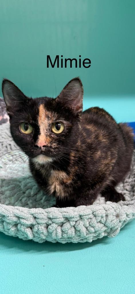 Mimie