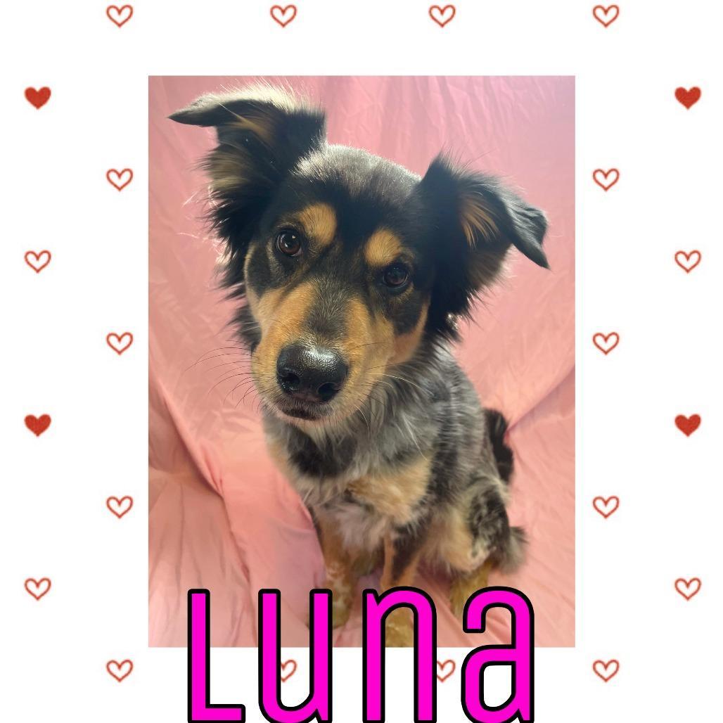 Luna