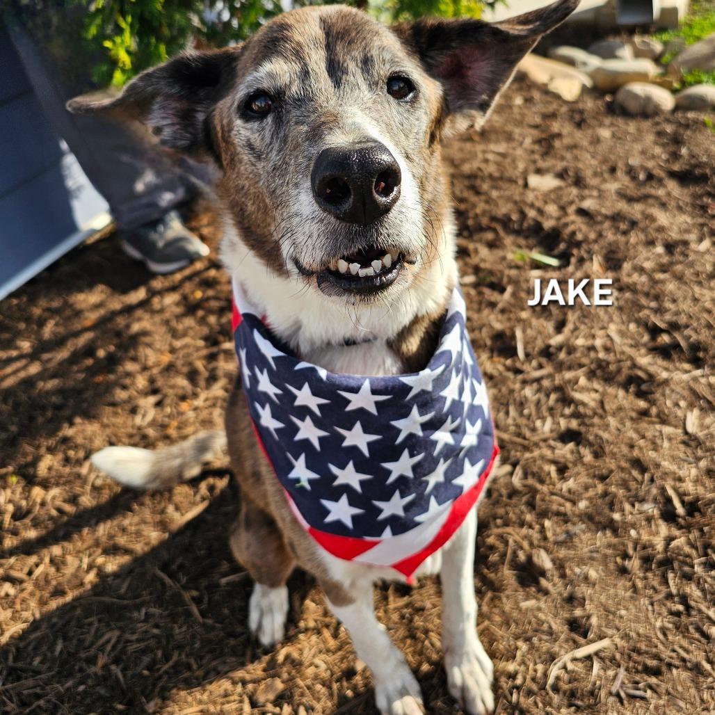 Jake photo 1