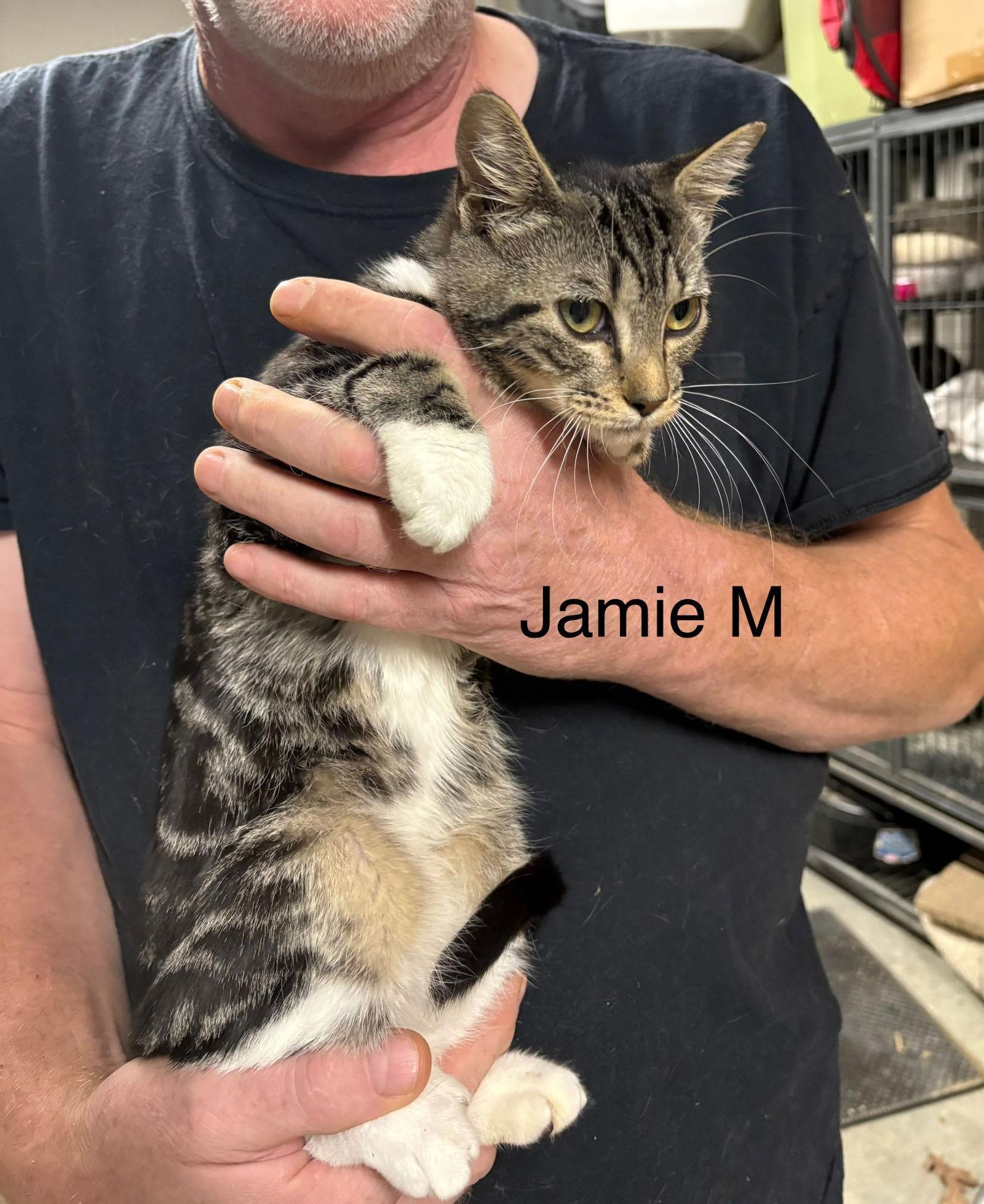 Jamie