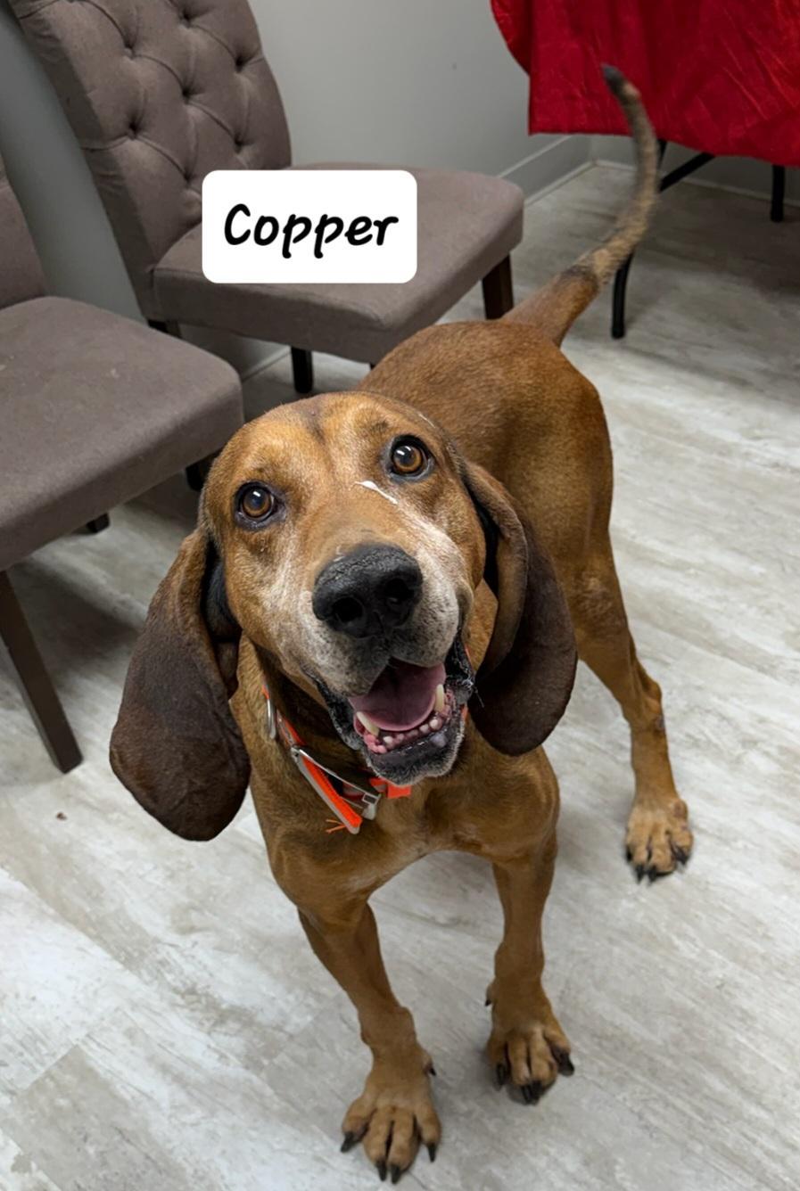 Copper