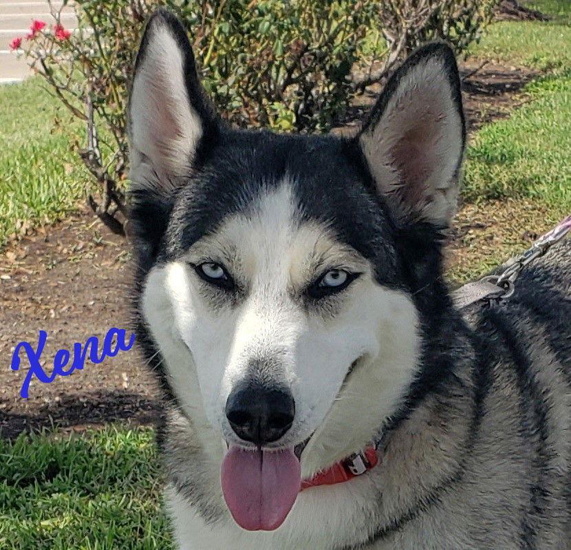 Xena Blueeyedbeauty