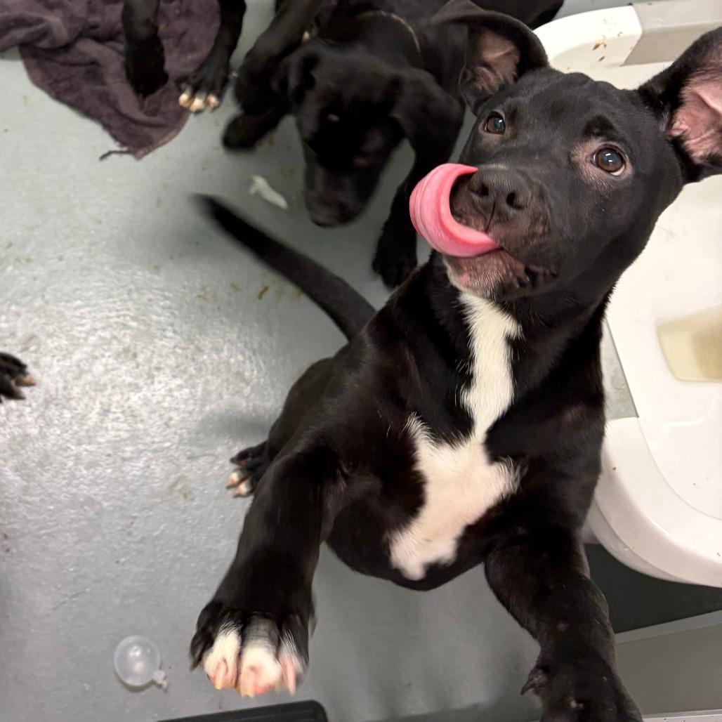 Kendall Rush photo 1