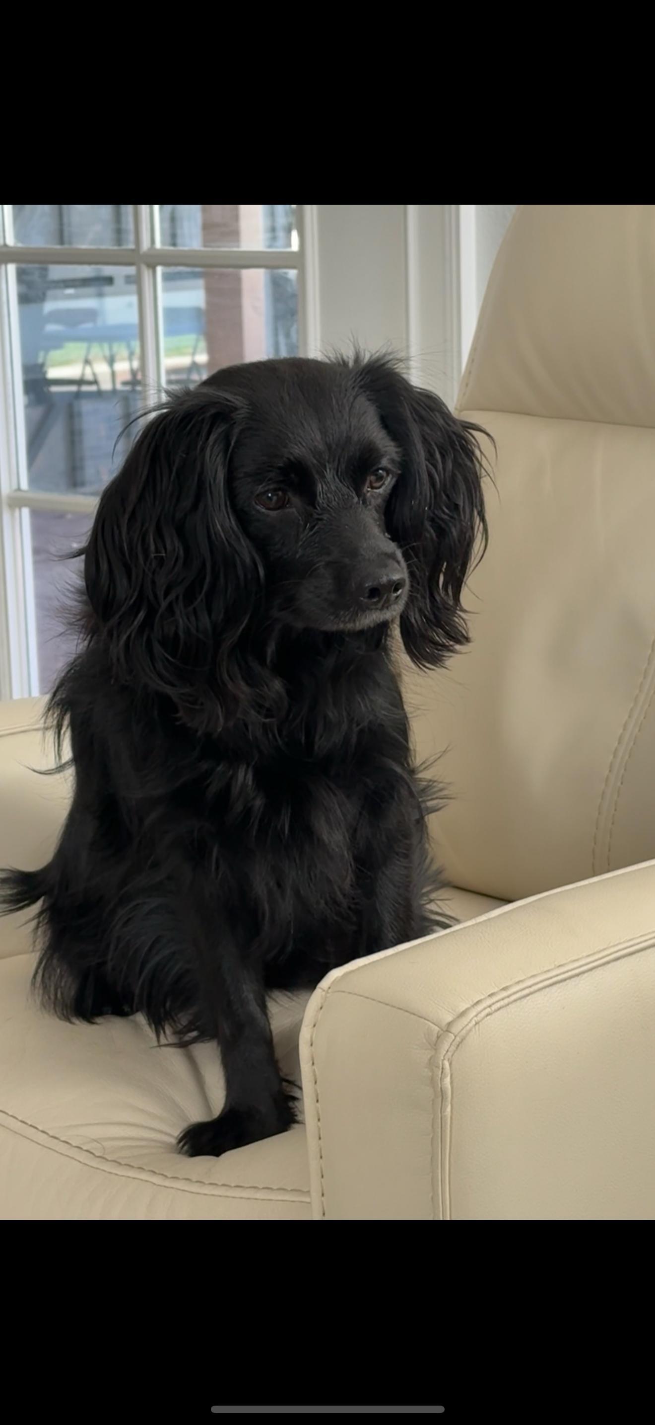 Lorenzo The Sweetest