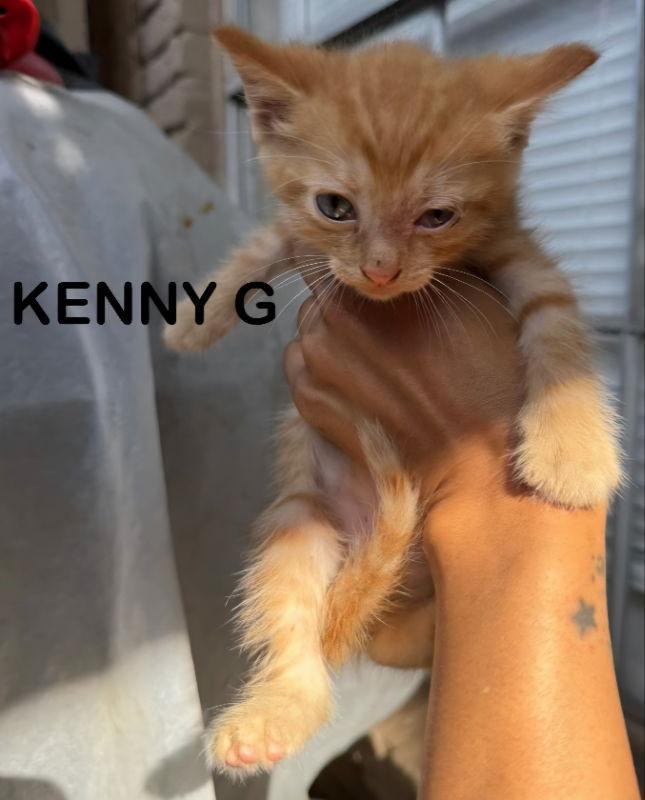 Kenny G