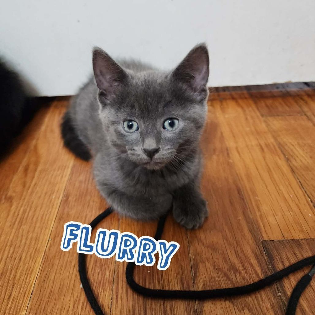 Flurry