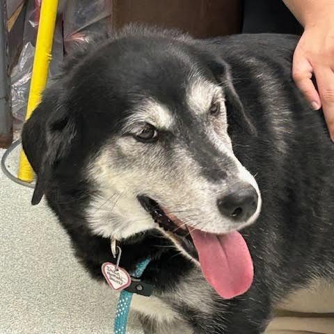 Dakota% Offsee My Video!