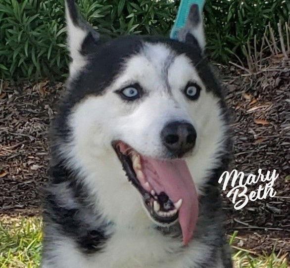 Mary Beth Sisterofcharles