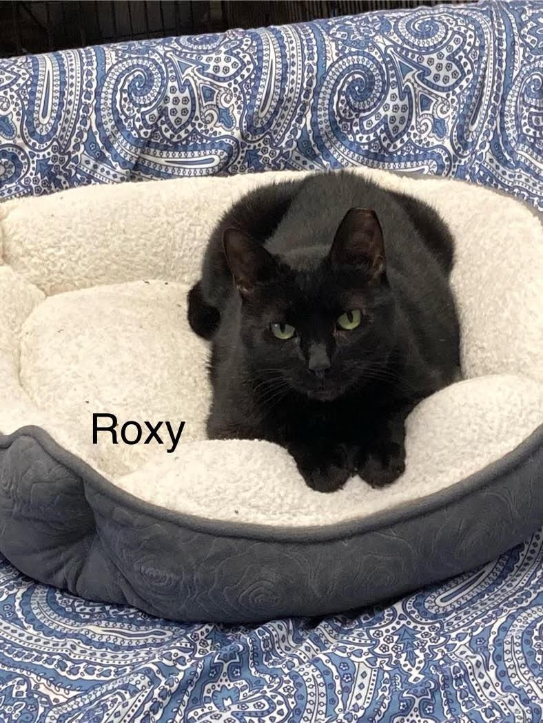 Roxy