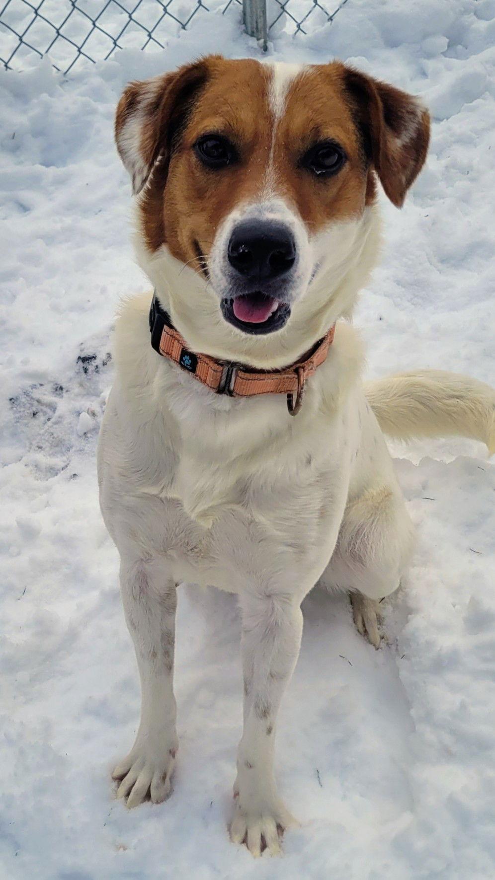 Valley Dixon photo 1