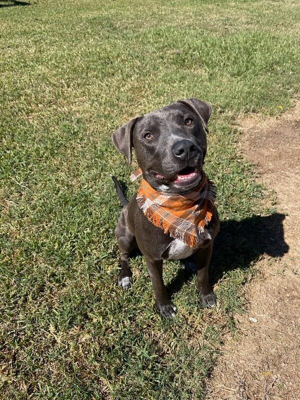 Sammy Simply So Sweet