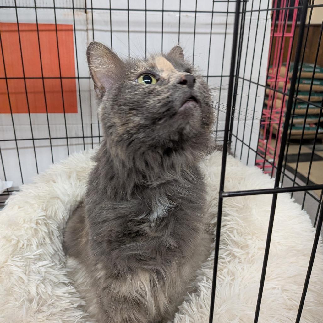 Gloria Special Needs