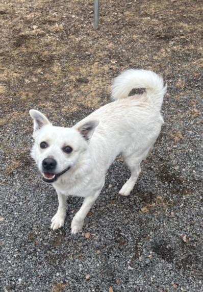 Ghostopher P Spookington