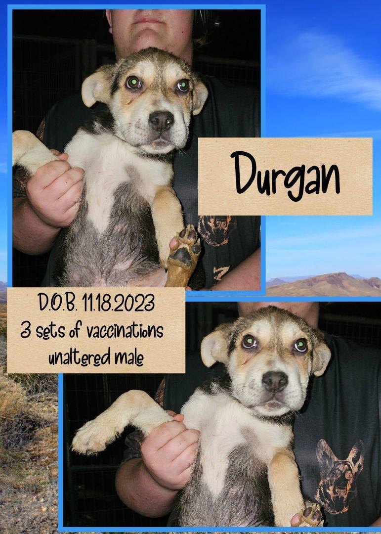Durgan