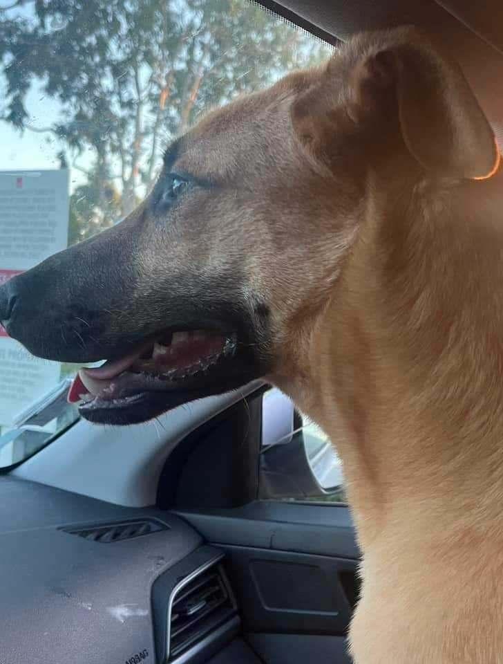 Puttin' On The Blitz!!