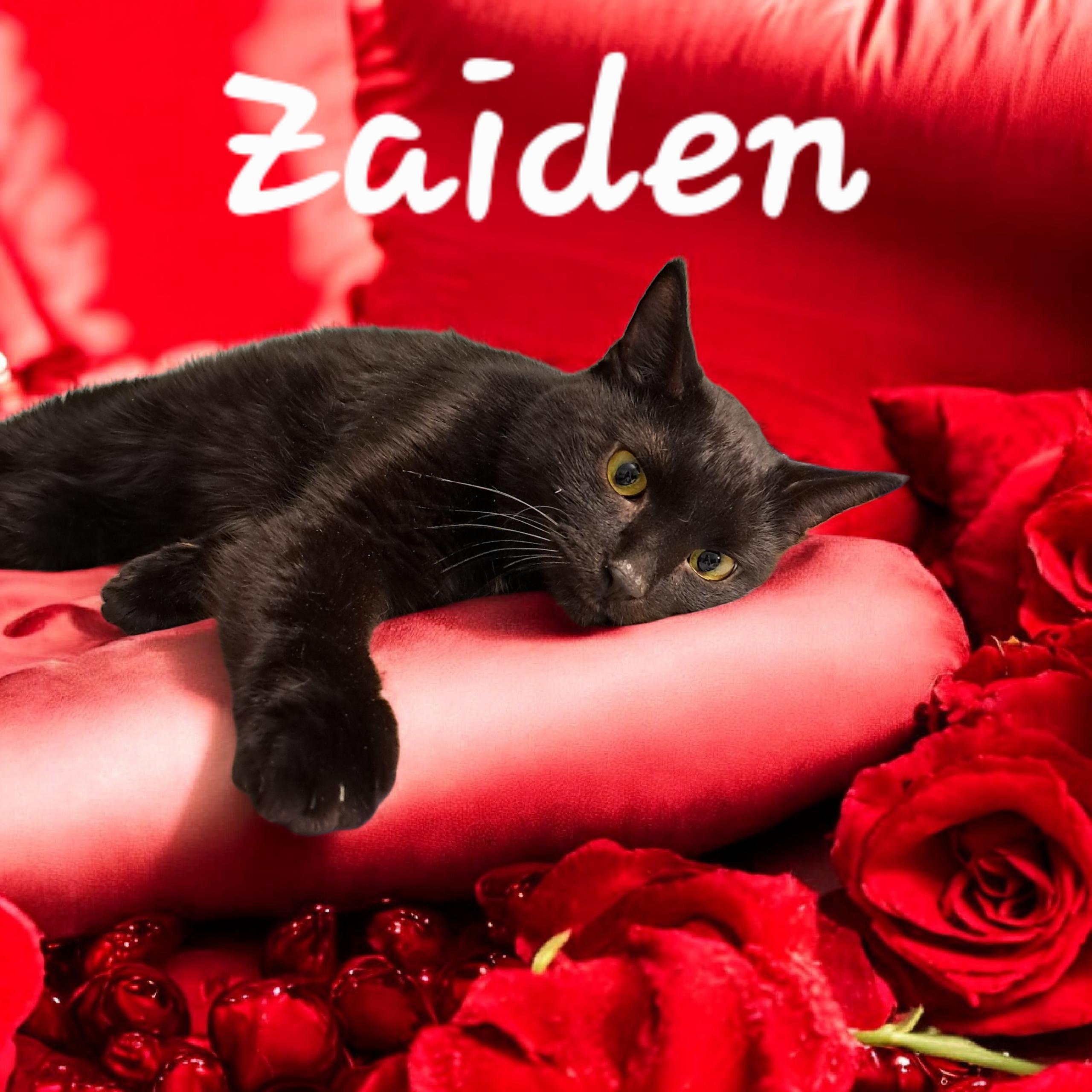 Zaiden