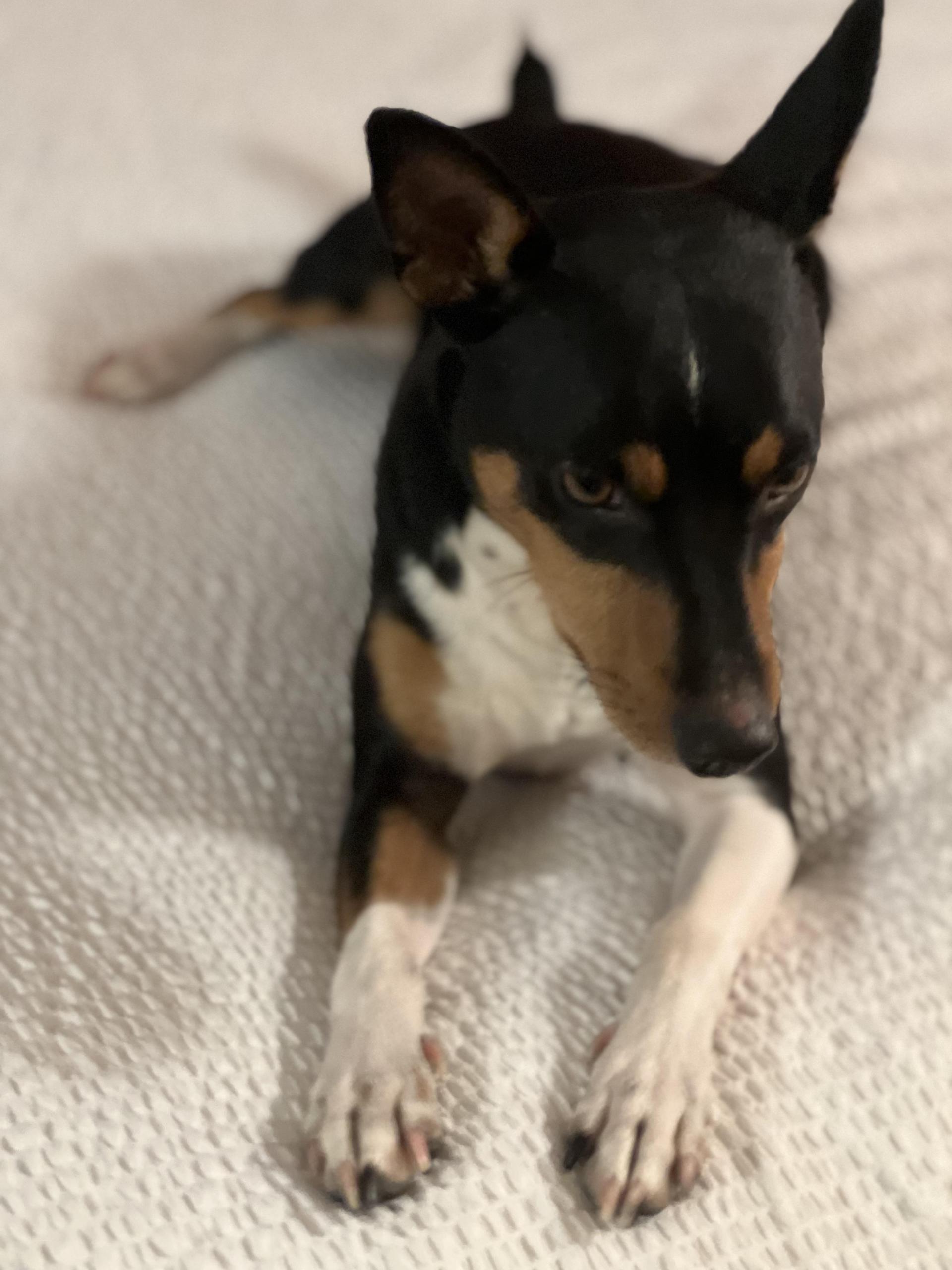 Jax