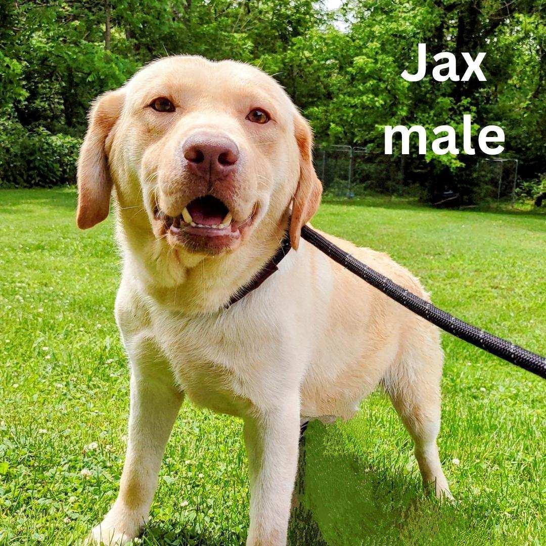 Jax