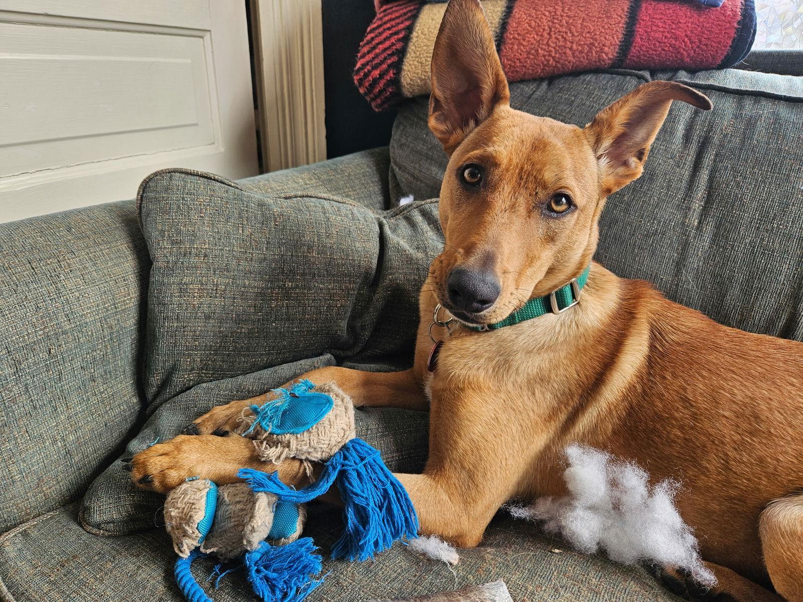 Florence Nightingale Local