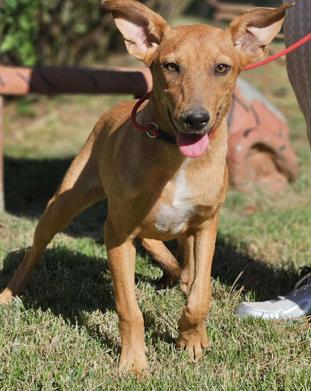 Florence Nightingale Local