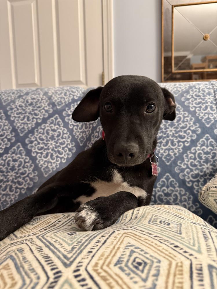 Ozzy Ashcraft photo 1