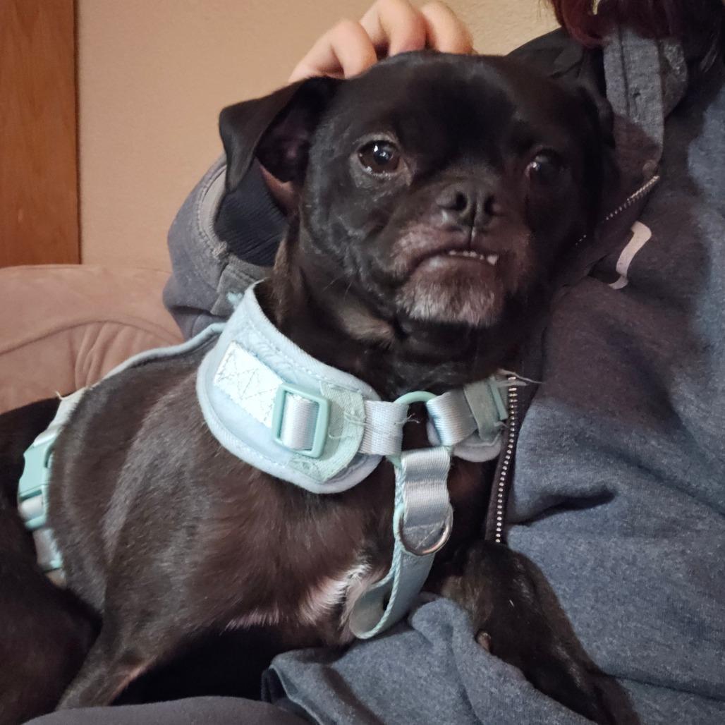 Lando Little Alert