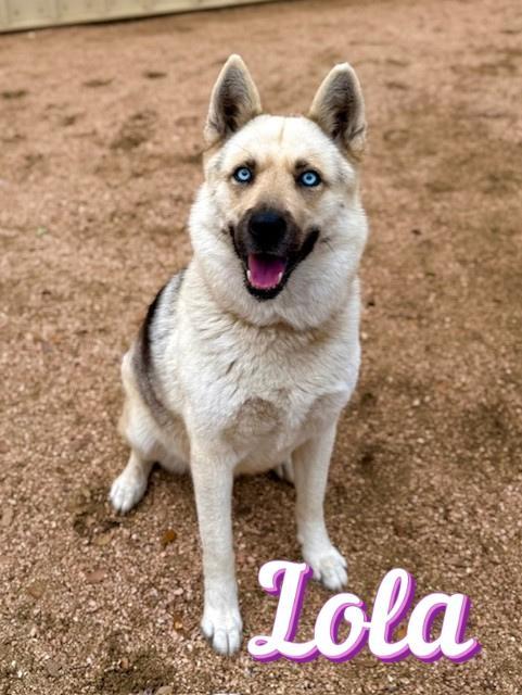 Lola