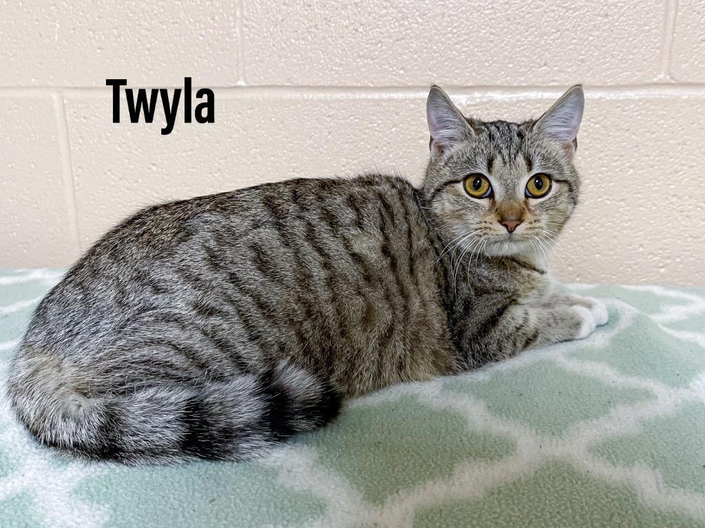 Twyla