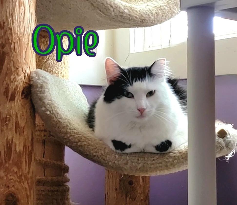 Opie