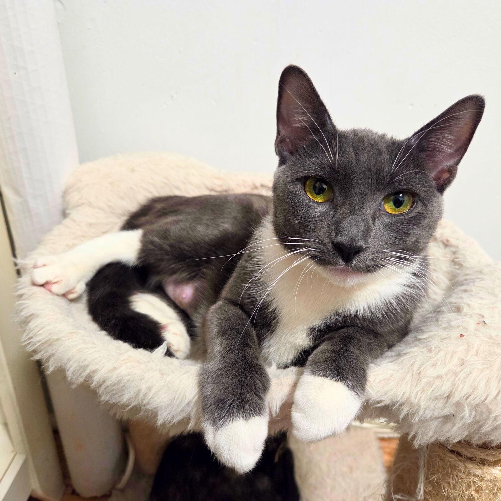 Peanut Butter photo 1