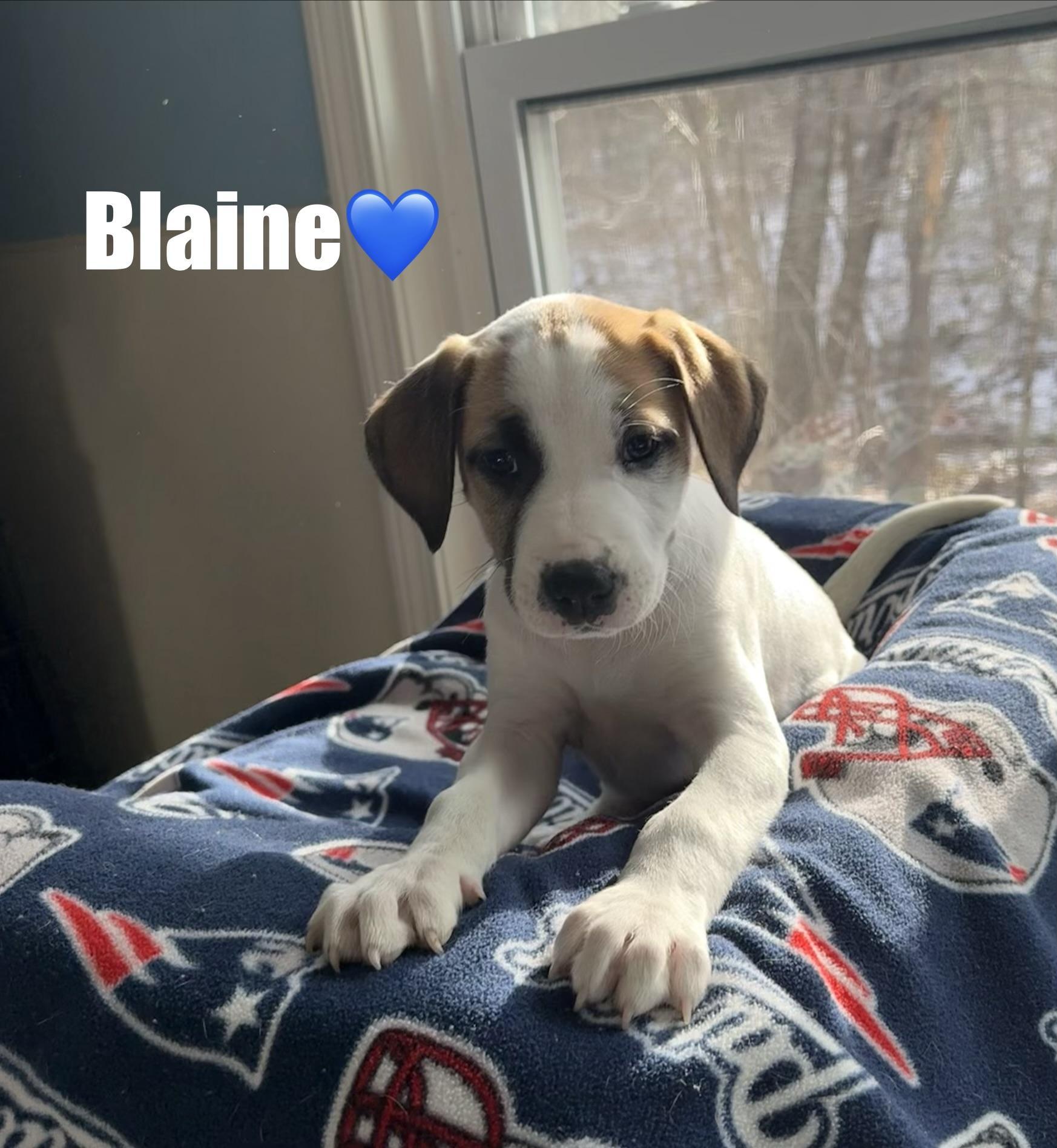 Blaine
