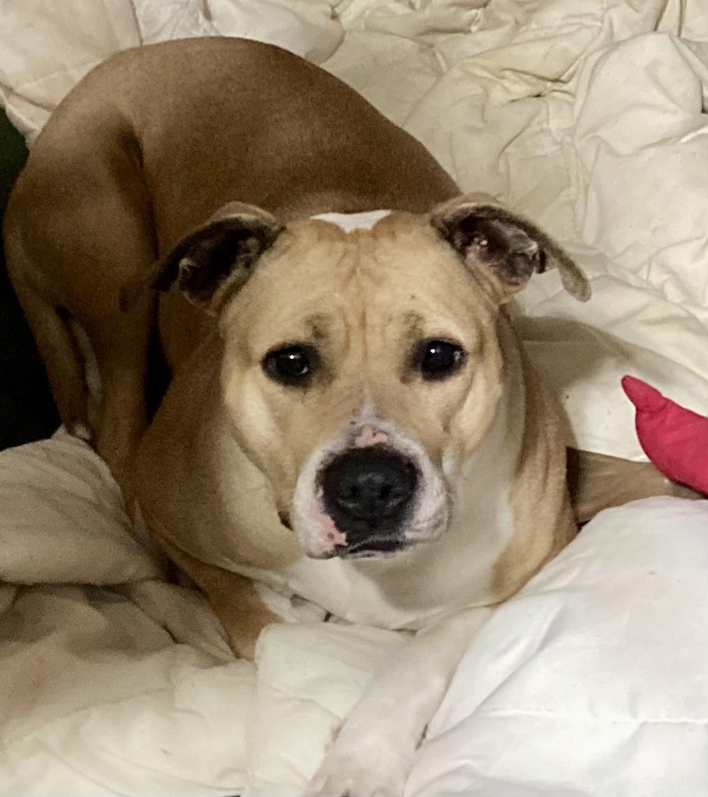 Little Miss Sunshine