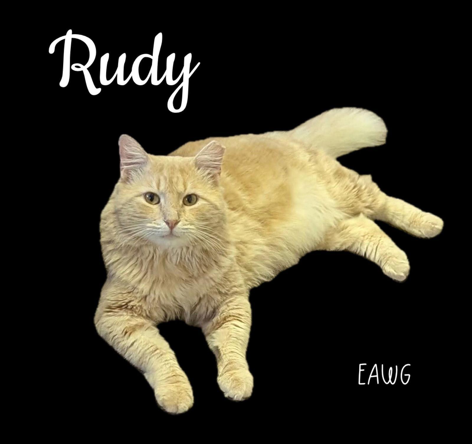 Rudy