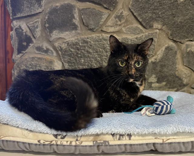 Swift Welcome To The