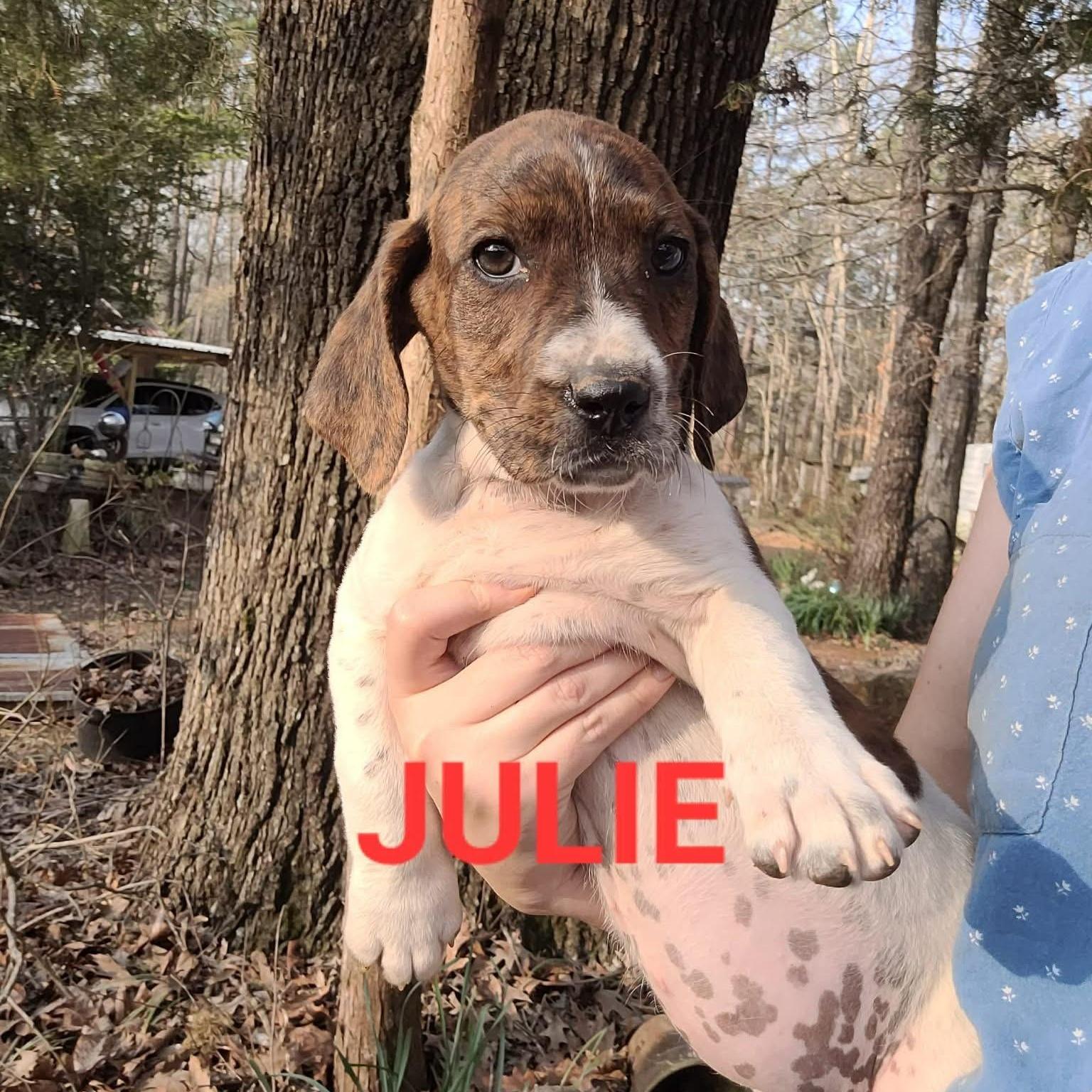 Julie