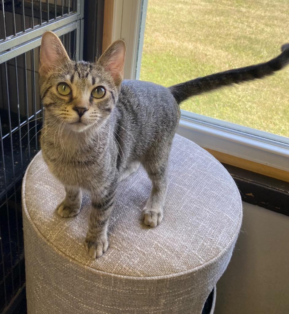 Huckle Berry photo 1