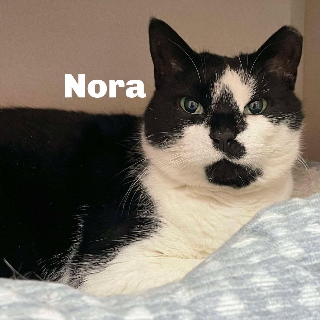 Nora