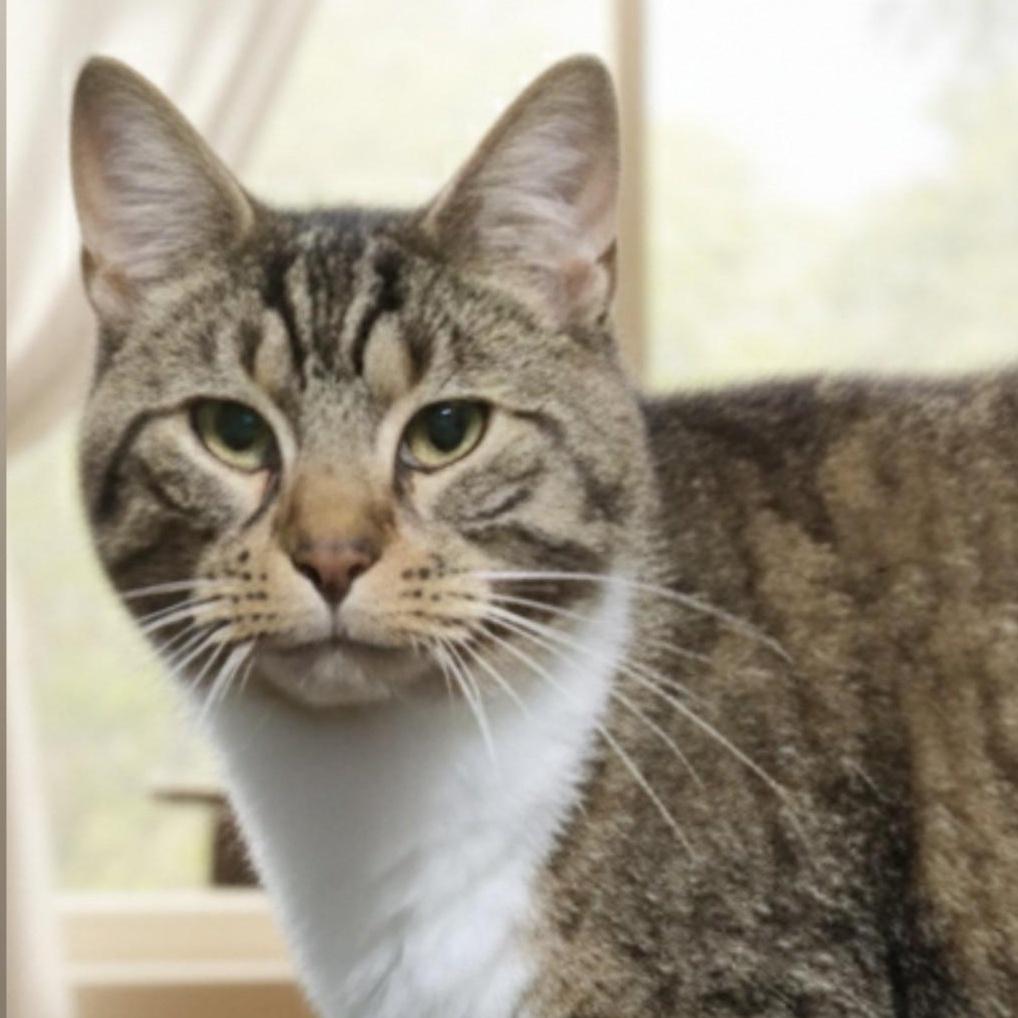 Errol >>the "reformed Apprehensive