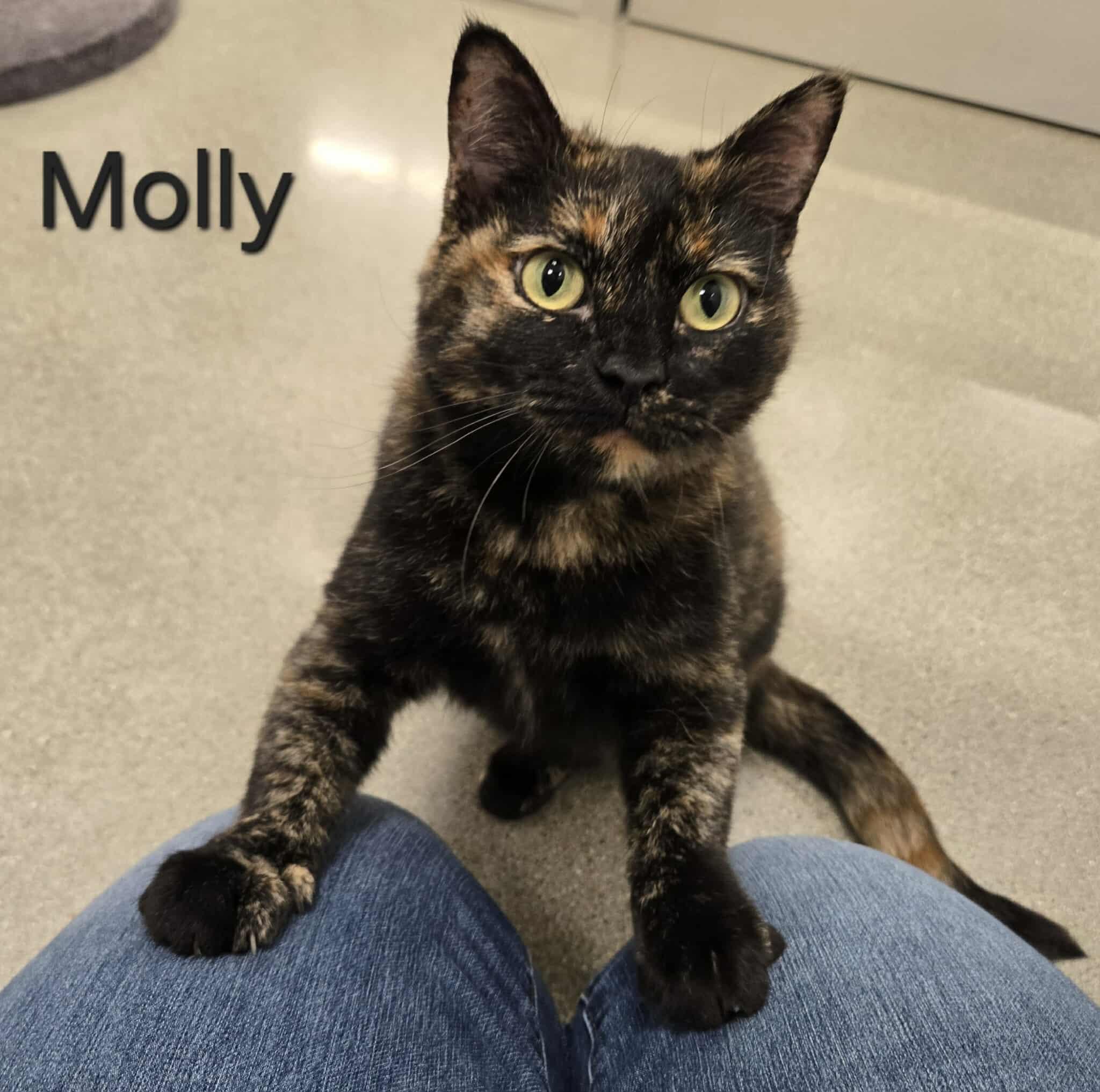Molly