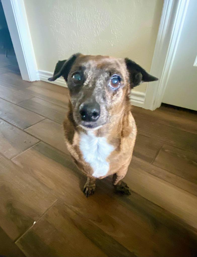 Hoppy Rubble photo 1