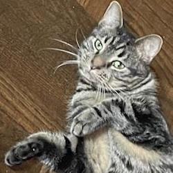 Diego And Botticelli