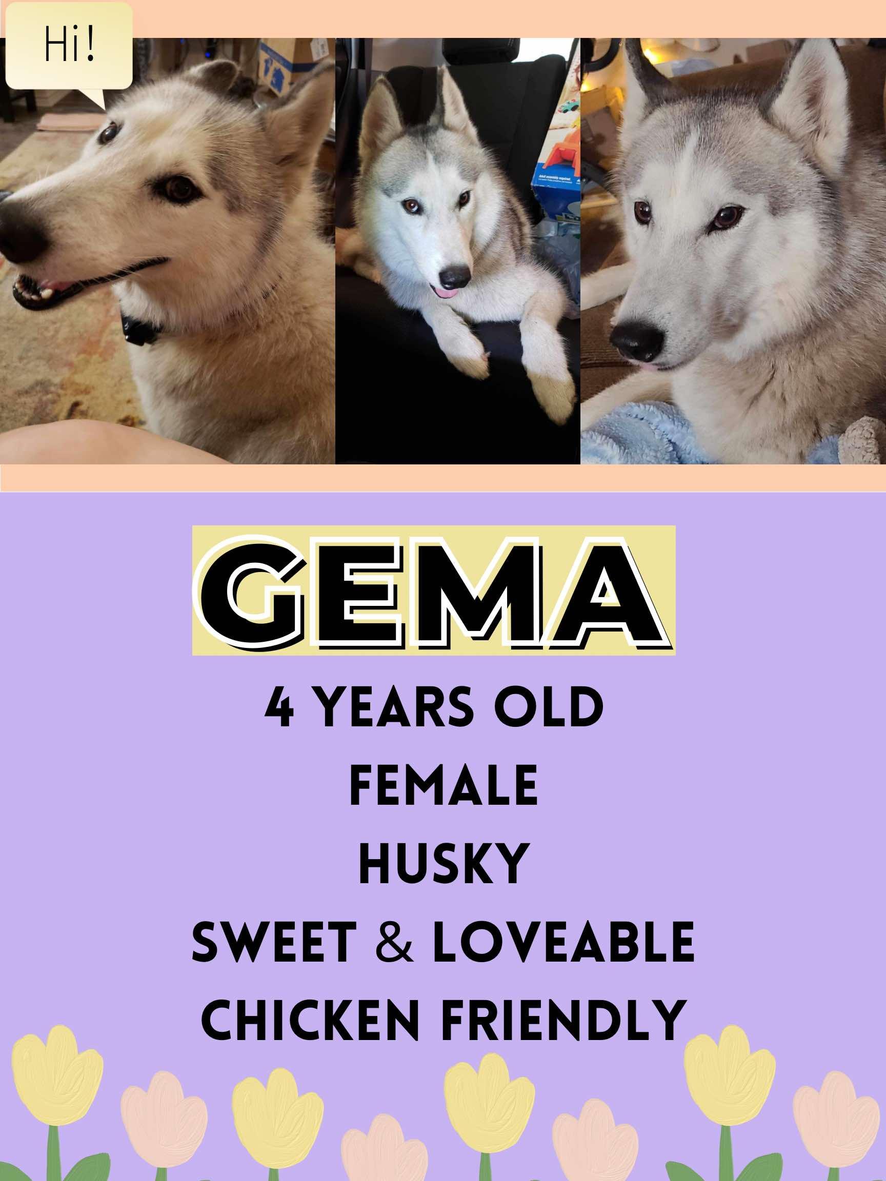 Gemma
