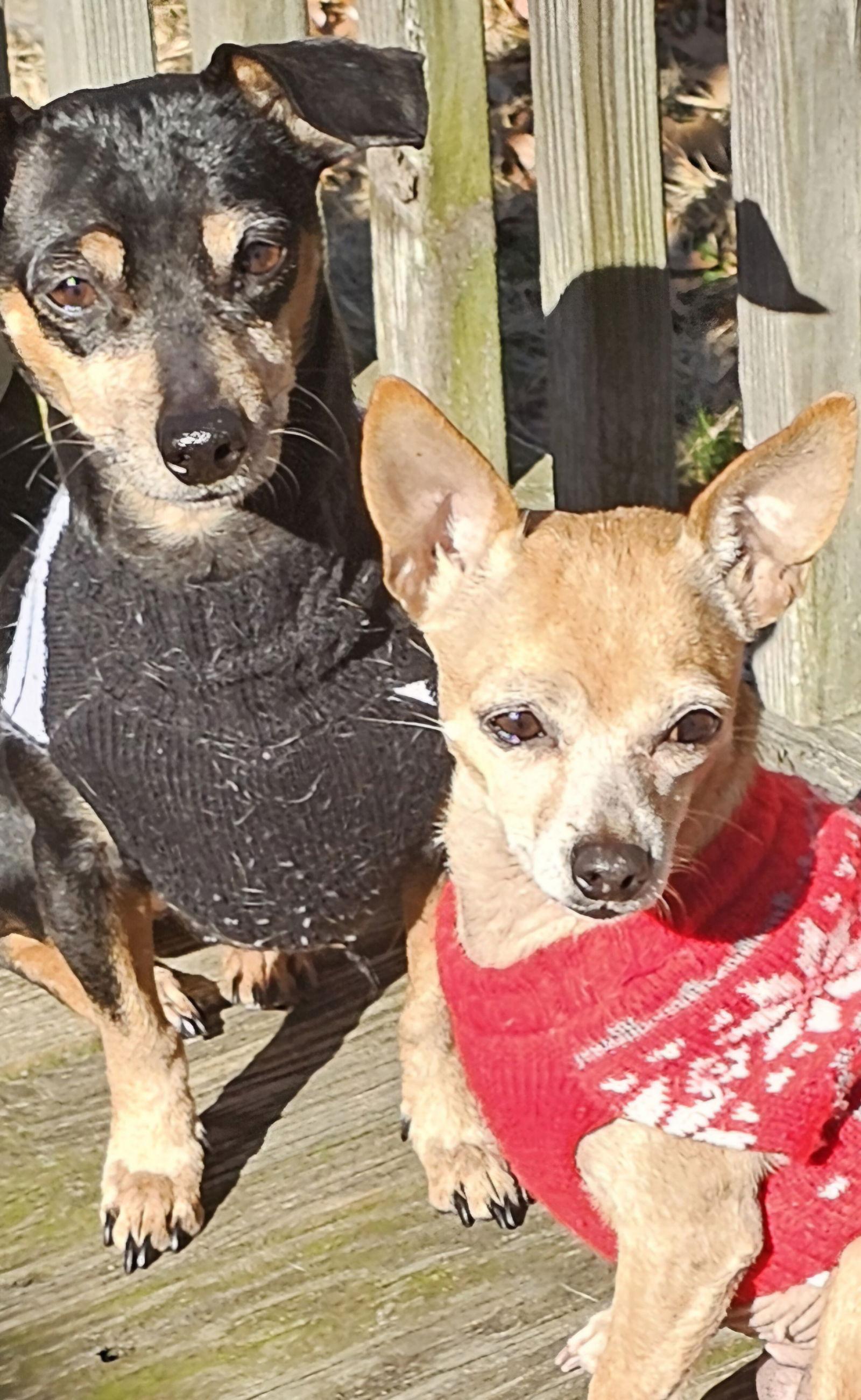 Brownie&sallybonded Pair